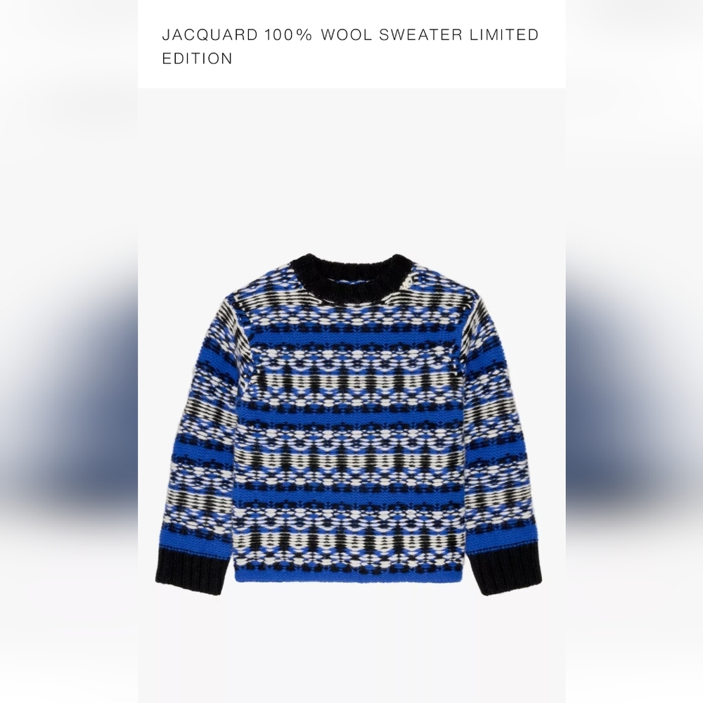 NWT Zara Jaquard 100% Wool Sweater Limited Edition Size 11 - 12